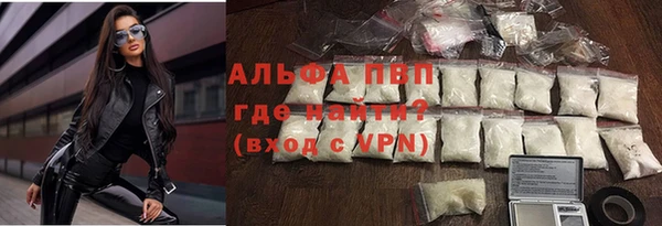 сатива Балахна