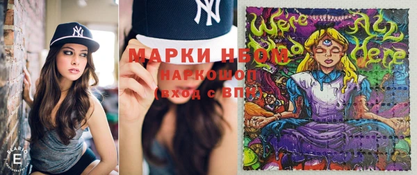 сатива Балахна