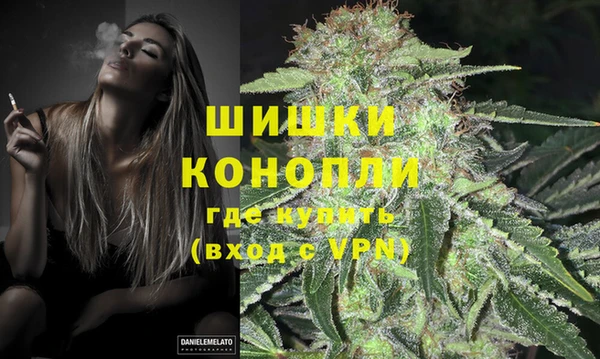 сатива Балахна