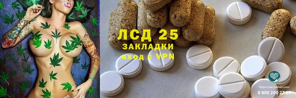 прущие грибы Армянск