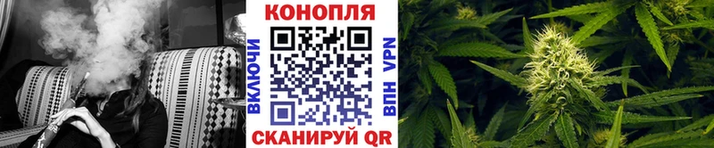 Бошки марихуана THC 21%  Советск 